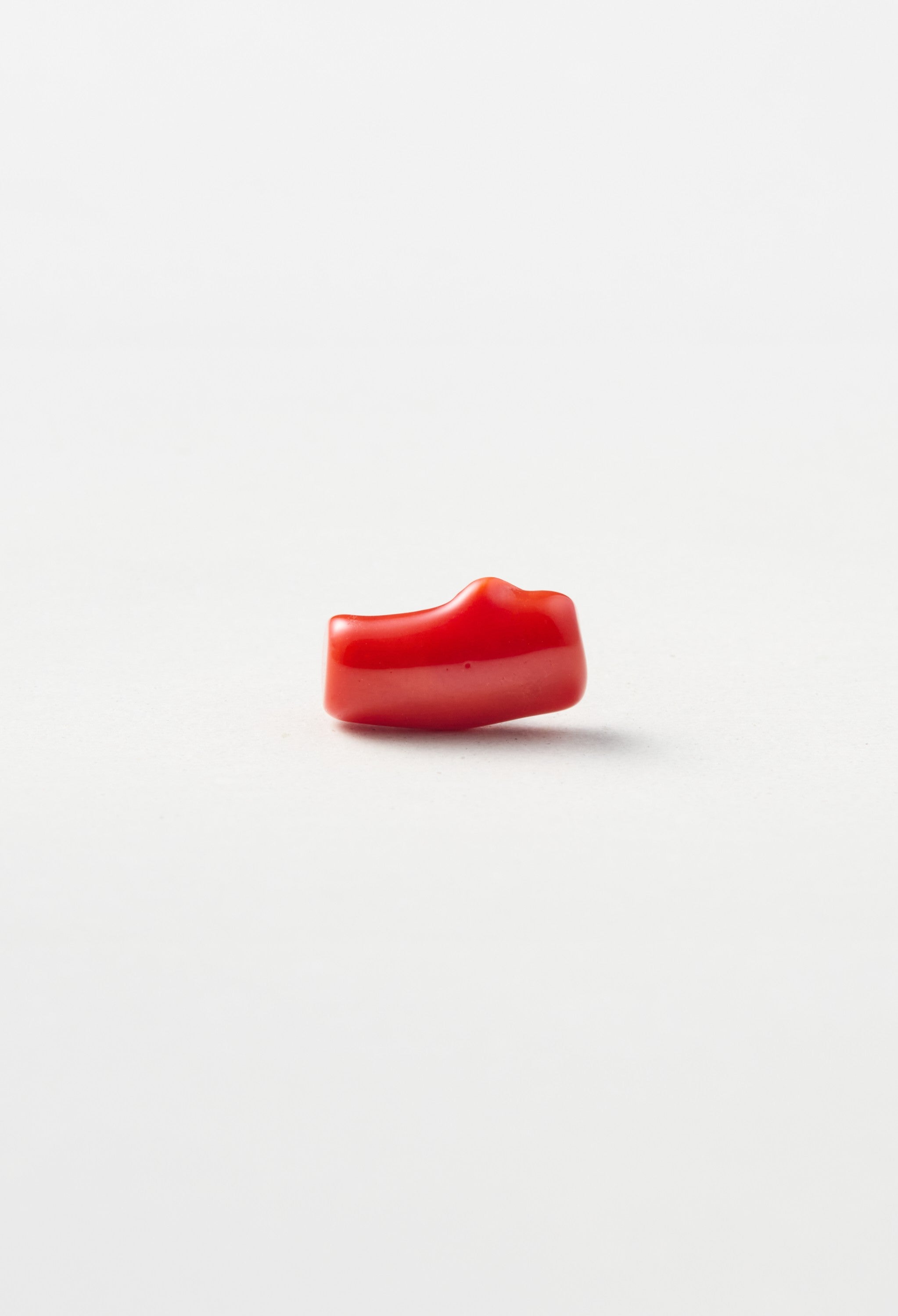 Coral Pierce – bororo