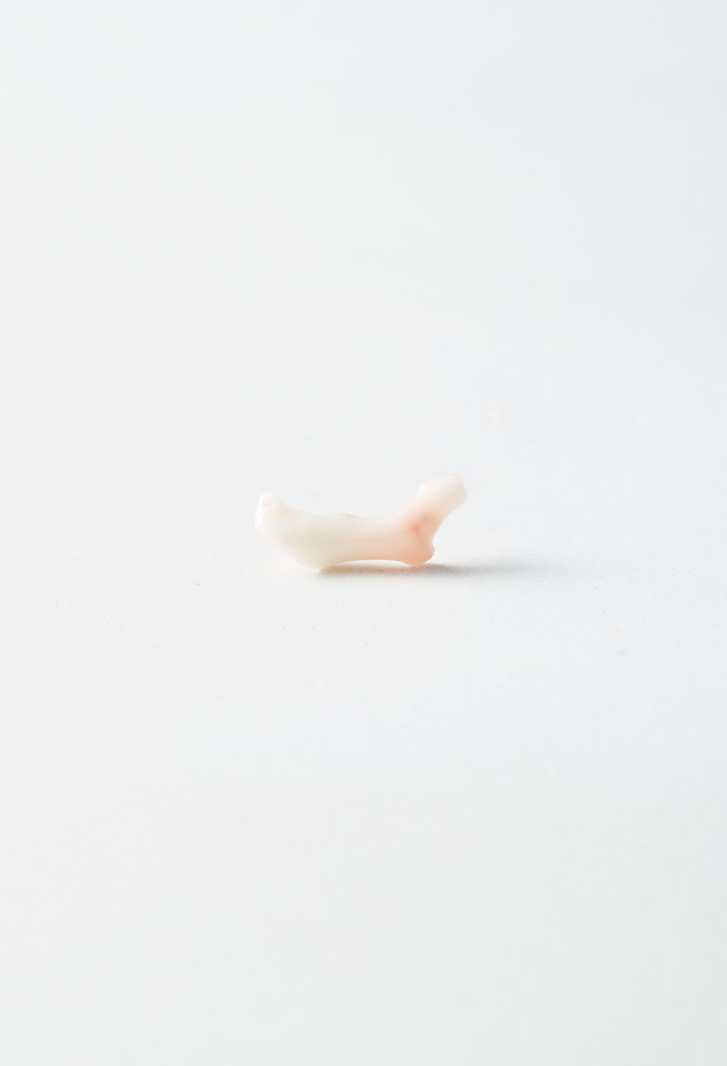 Coral Pierced Earring