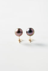 Pinkish Black South Sea Pearl Earrings