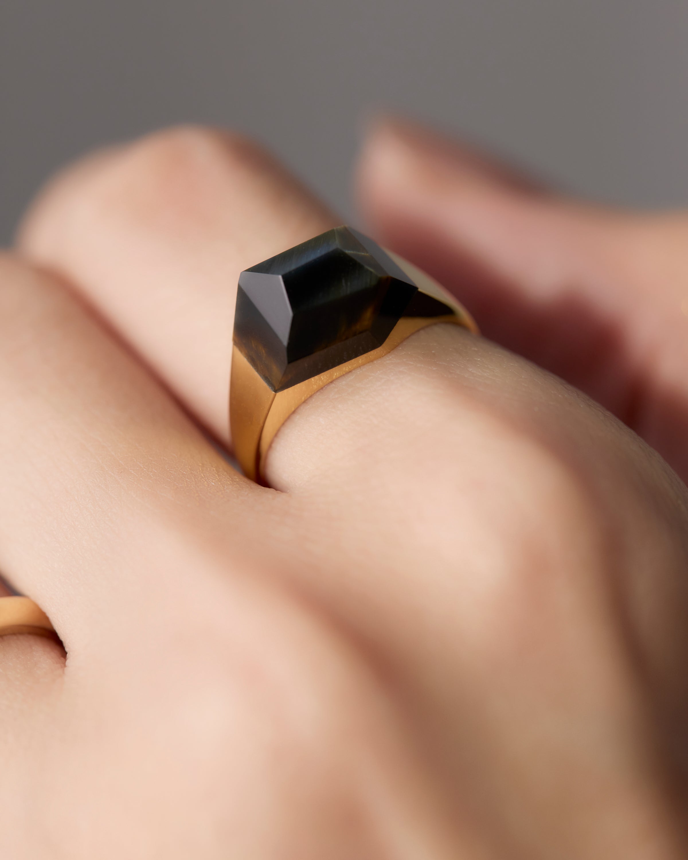 Tiger's and Hawk's Eye Ring